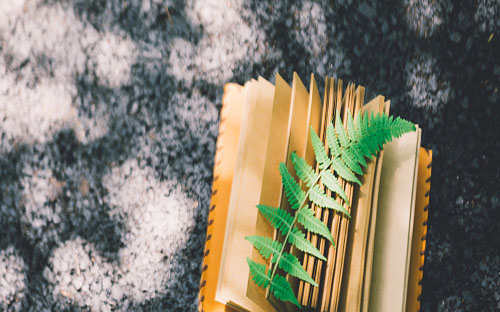 四川外國語大學(xué)自考專升本官網(wǎng)報(bào)名入口